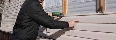 Best Storm Damage Siding Repair  in Shackle Island, TN